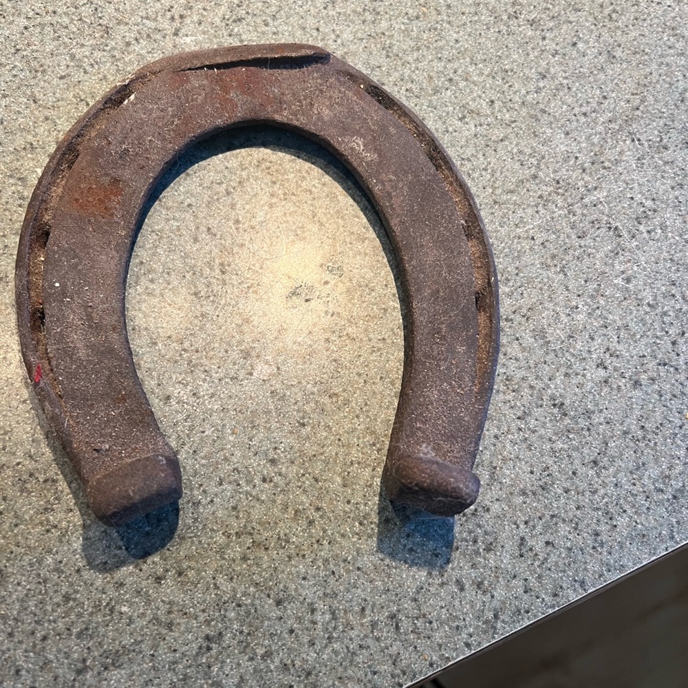 Rustic Horseshoe Decor